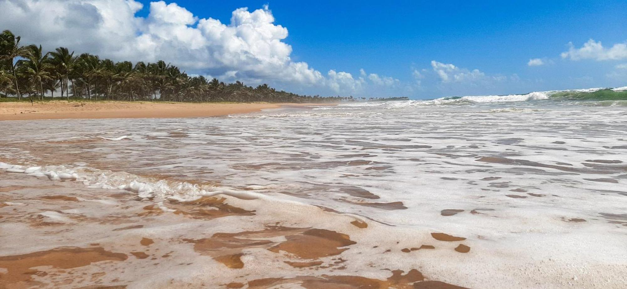 Chale Brisa Mar Pe Na Areia Em Barra Do Jacuipe Villa Camaçari Exterior foto