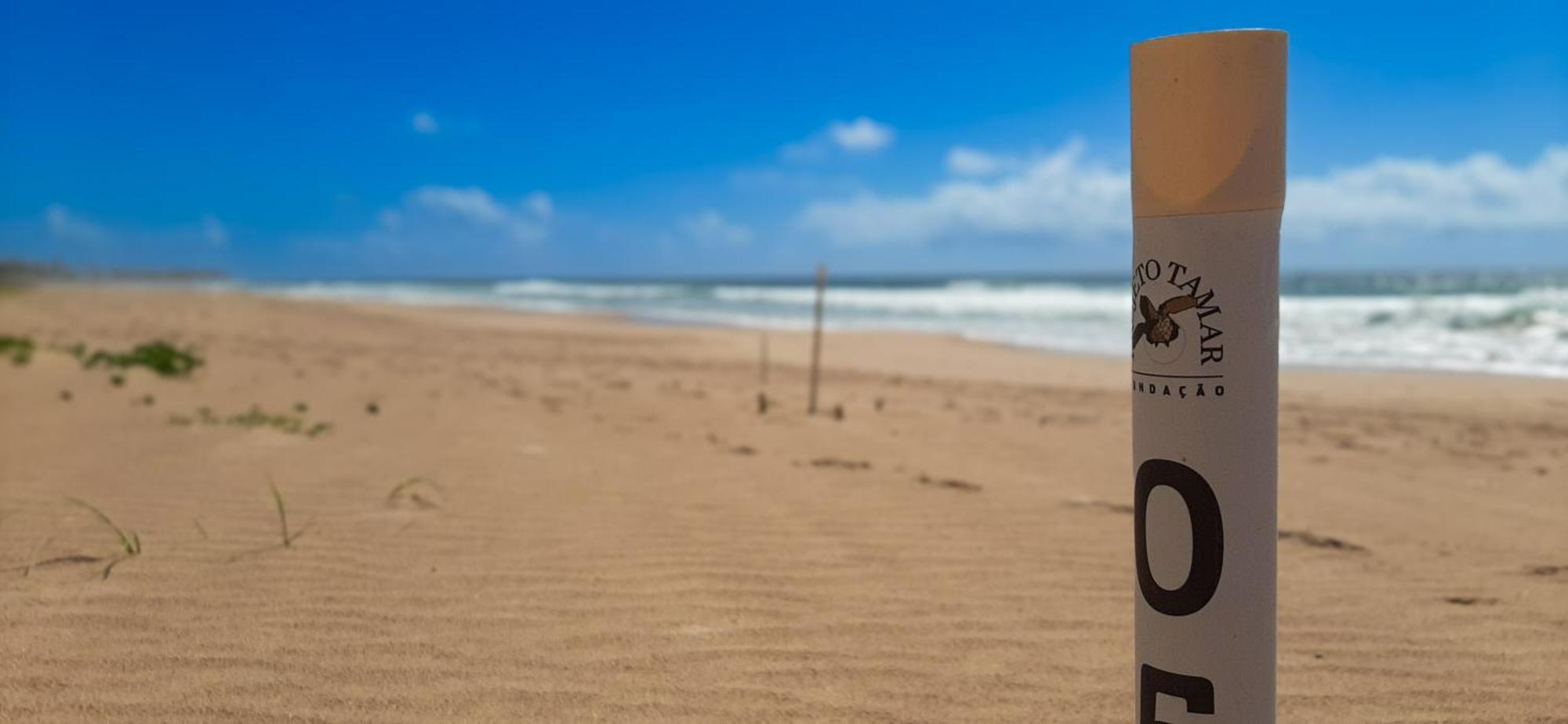 Chale Brisa Mar Pe Na Areia Em Barra Do Jacuipe Villa Camaçari Exterior foto